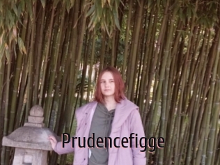 Prudencefigge