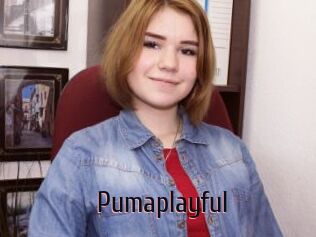 Pumaplayful
