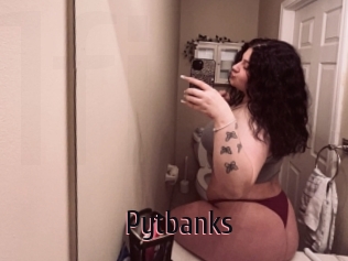 Pytbanks