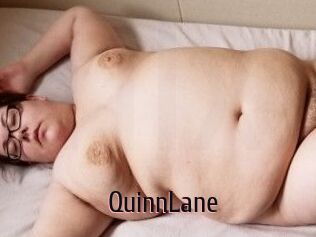 QuinnLane