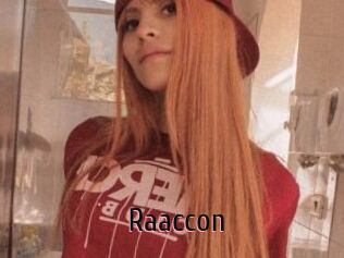 Raaccon