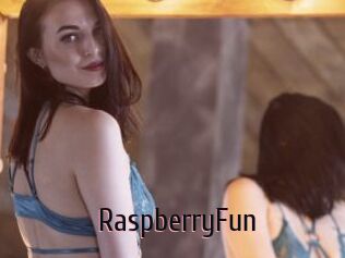 RaspberryFun