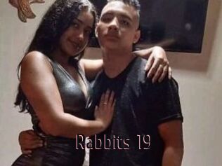 Rabbits_19