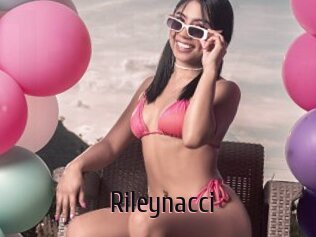 Rileynacci