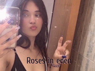 Roses_in_eden