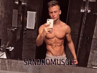 SANDRO_MUSCLE
