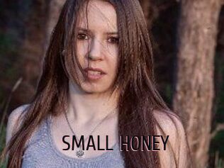 SMALL_HONEY