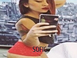 SOFI_G