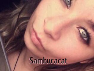 Sambucacat
