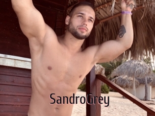 SandroGrey 1 film x