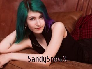 SandySnowX