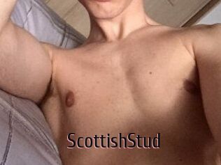 Scottish_Stud