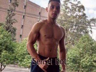 Sensei_hot