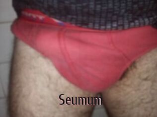 Seumum 1 film x