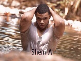 Shein_A