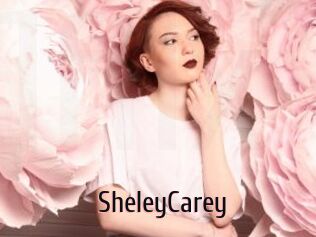 SheleyCarey