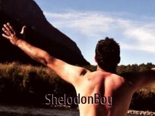 ShelodonBoy