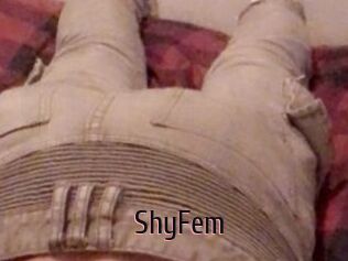 ShyFem