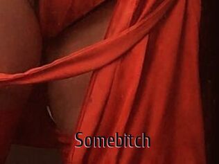 Somebitch