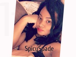 SpicySpade