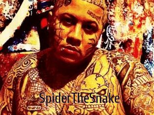 SpiderTheSnake