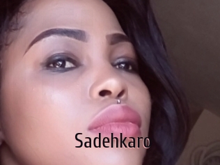 sadehkaro 1 film x