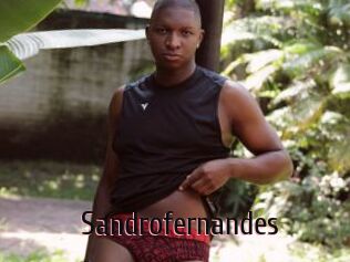 Sandrofernandes