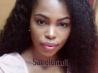 Sanelentuli