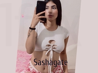 Sashagate