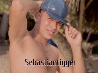 Sebastiantigger