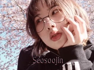 Seosoojin