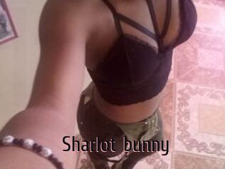 Sharlot_bunny