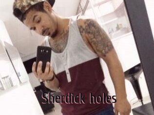 Sherdick_holes
