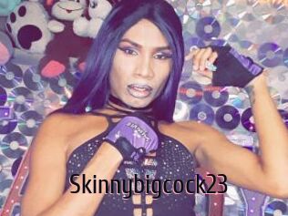 Skinnybigcock23