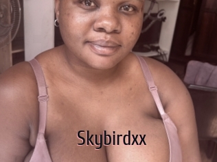 Skybirdxx