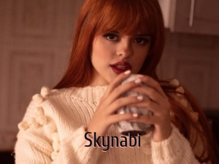 Skynabi