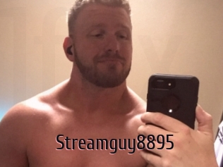 Streamguy8895