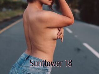 Sunflower_18