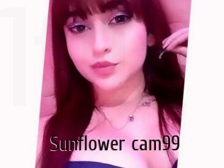 Sunflower_cam99