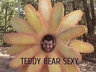 TEDDY_BEAR_SEXY