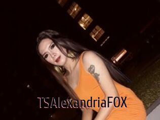 TSAlexandriaFOX