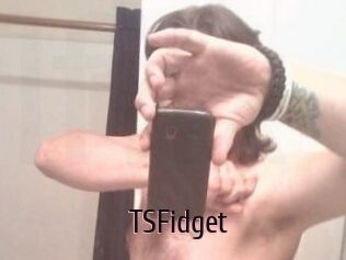 TSFidget