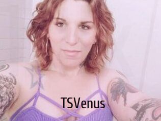 TS_Venus