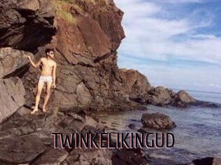 TWINKELIKINGUD