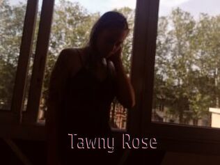 Tawny_Rose