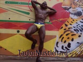 TaylorMusclehard