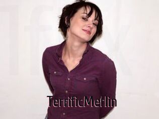 TerrificMerlin