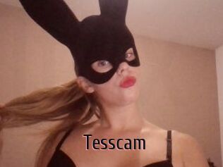 Tesscam