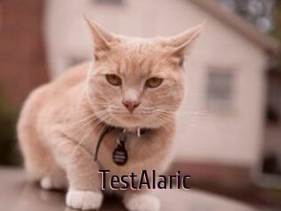 TestAlaric