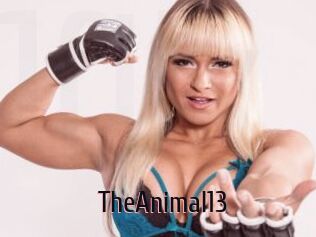 TheAnimal13